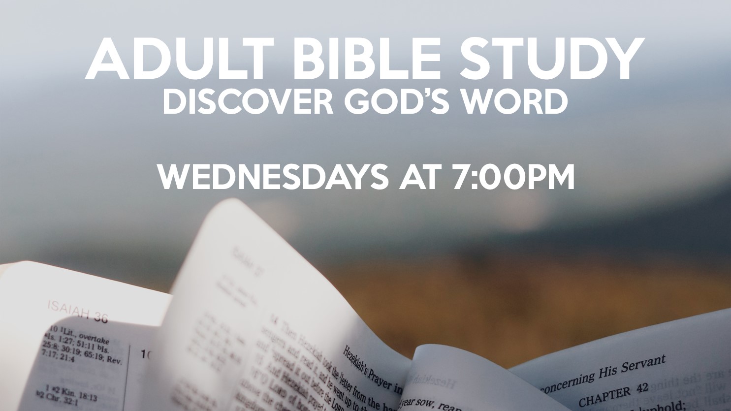ADULT BIBLE STUDY